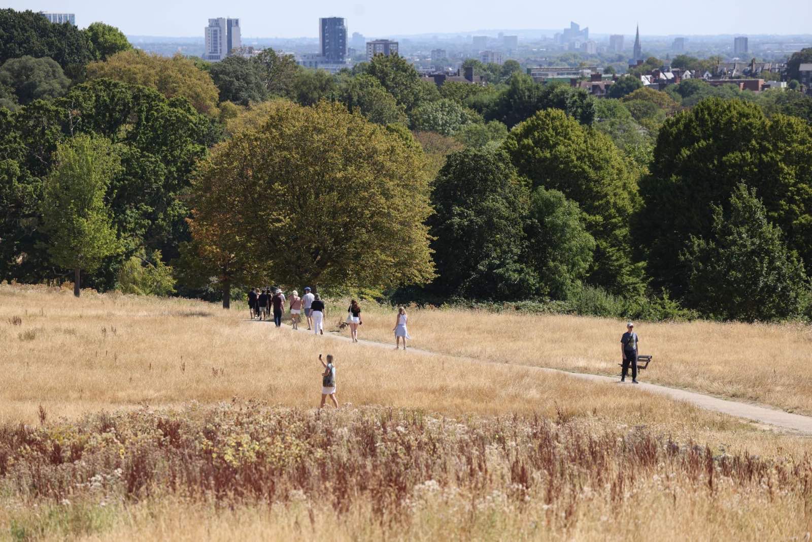 El parc de Hampstead Heath, a Londres (EFE) El parc de Hampstead Heath, a Londres (EFE)