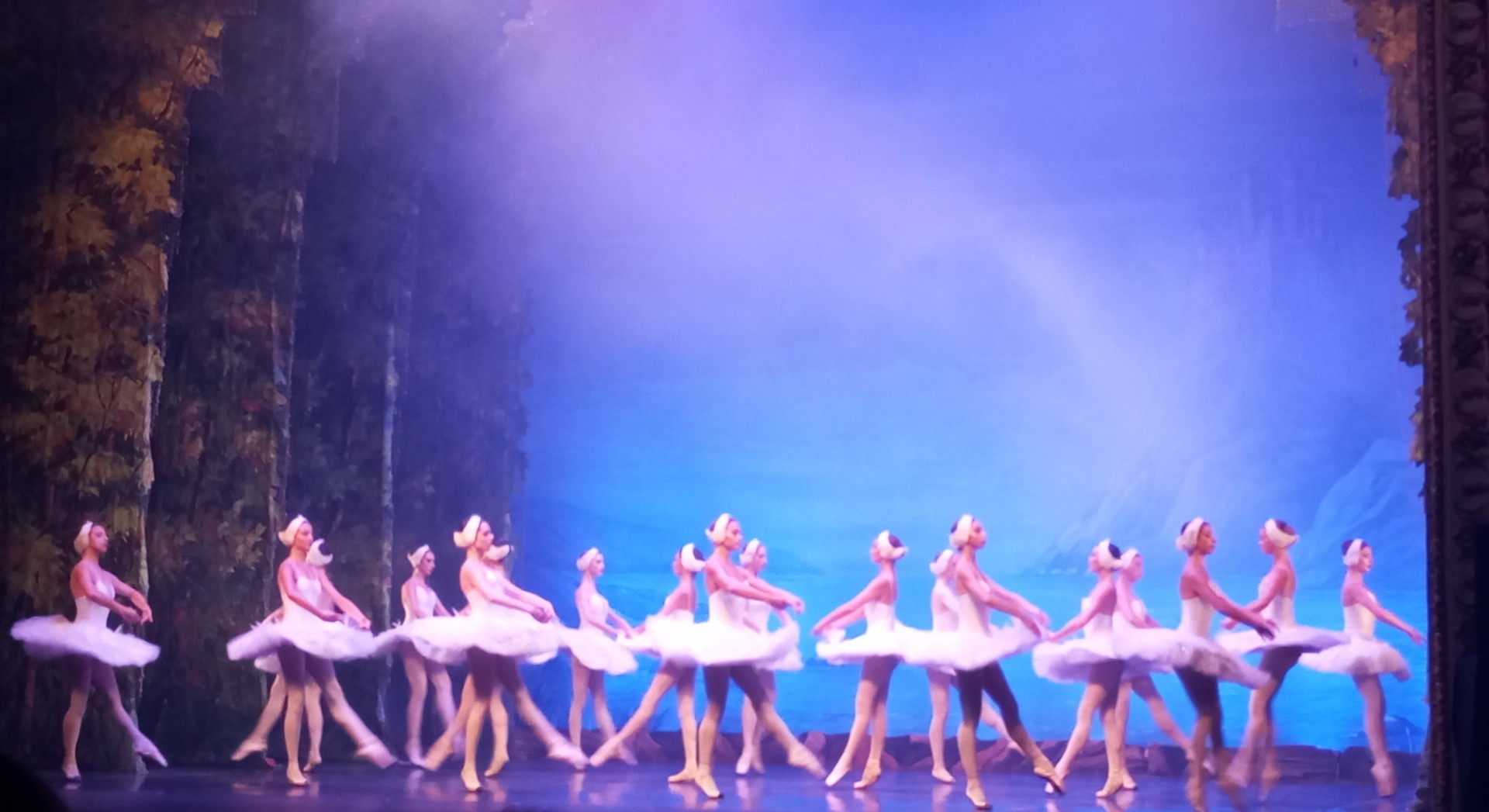 La companyia de ballet de Kíiv estrenant dimarts 'El llac dels cignes'