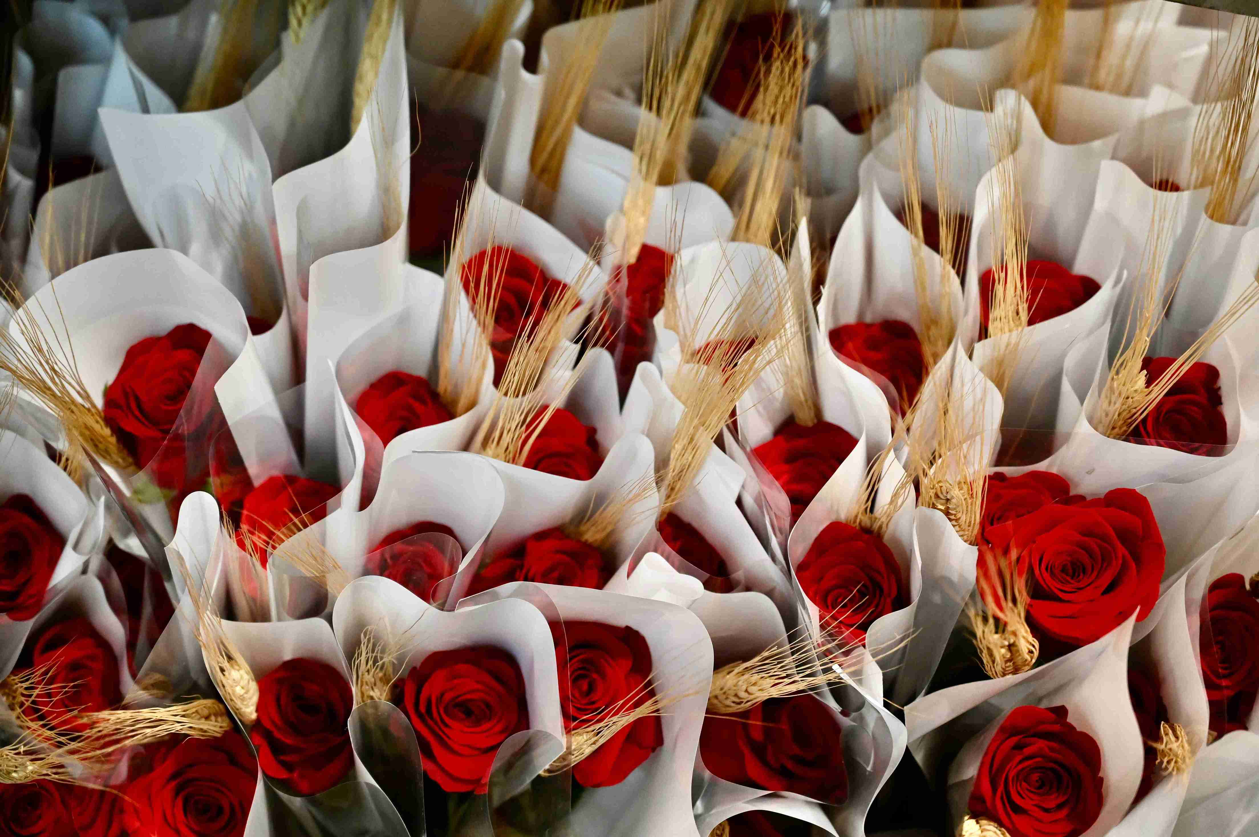 Roses de Sant Jordi preparades per la seva venda, en una foto d'arxiu a Mercabarna-flor