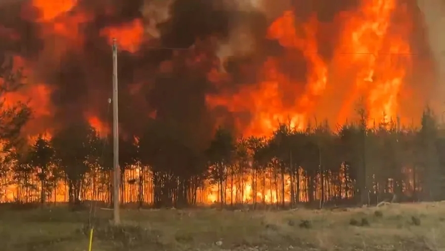 Els grans incendis en regions com el Canadà (a la foto, a la província de Manitoba, 2025) i Sibèria, i les sequeres en zones tropicals, també van reduir la capacitat d'embornal biològic de CO2. Els grans incendis en regions com el Canadà (a la foto, a la província de Manitoba, 2025) i Sibèria, i les sequeres en zones tropicals, també van reduir la capacitat d'embornal biològic de CO2.