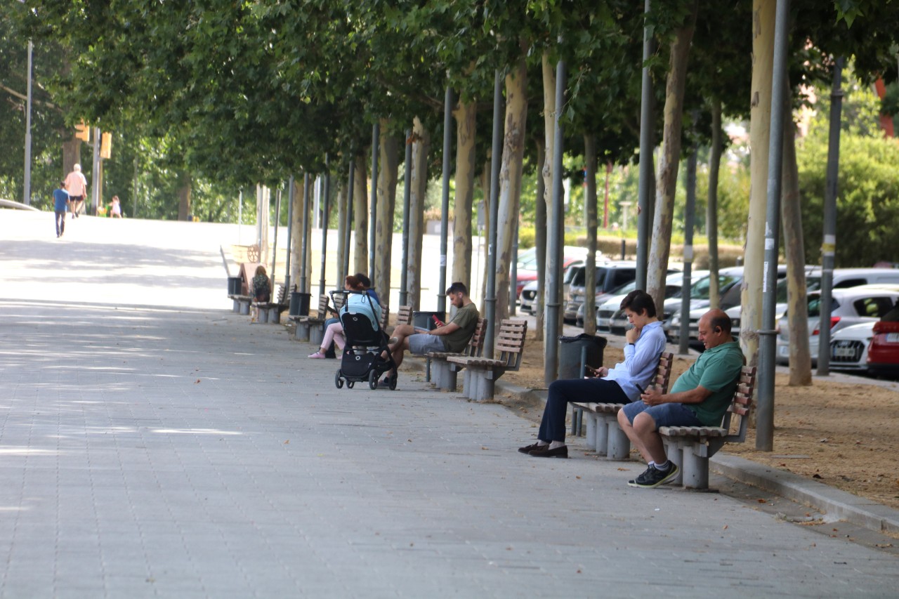 Persones assegudes en bancs a l'ombra d'un passeig de la ciutat de Lleida.
