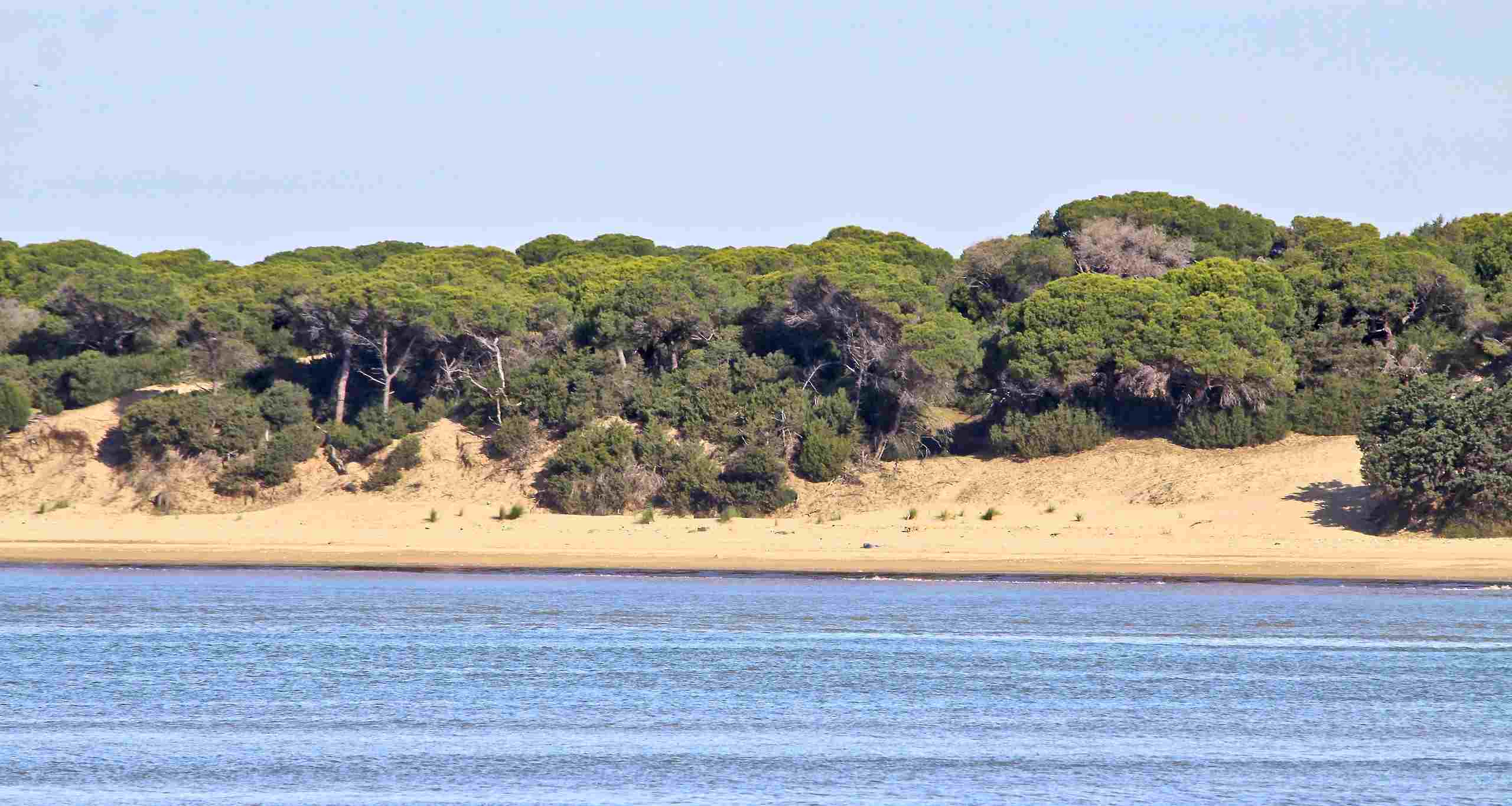 Vista del Parc de Doñana, a Andalusia