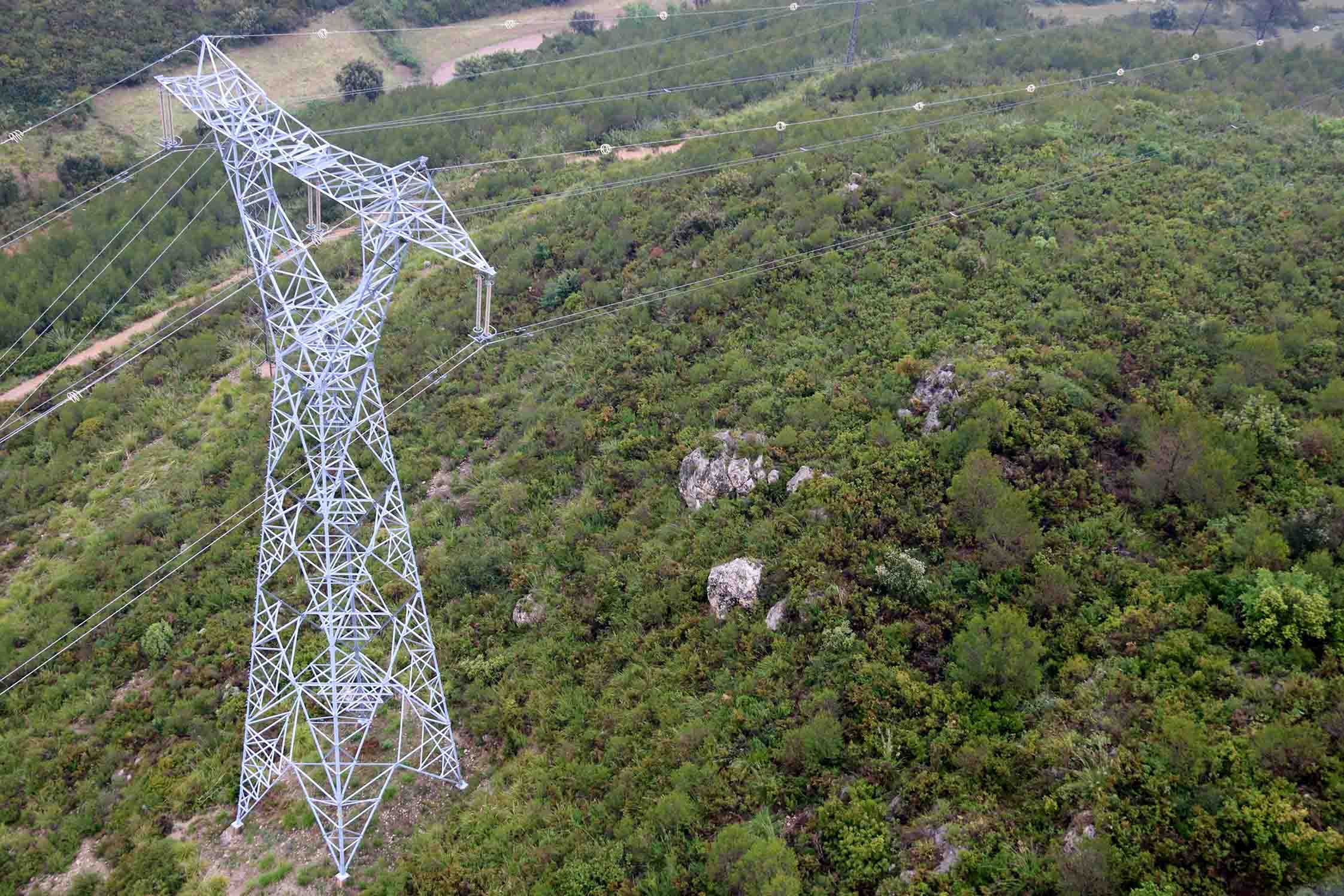 Elèctrica