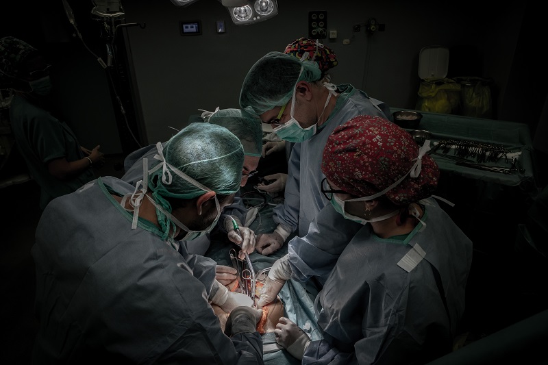 Els xenotrasplantaments de porc a humà replantegen els límits de la medicina