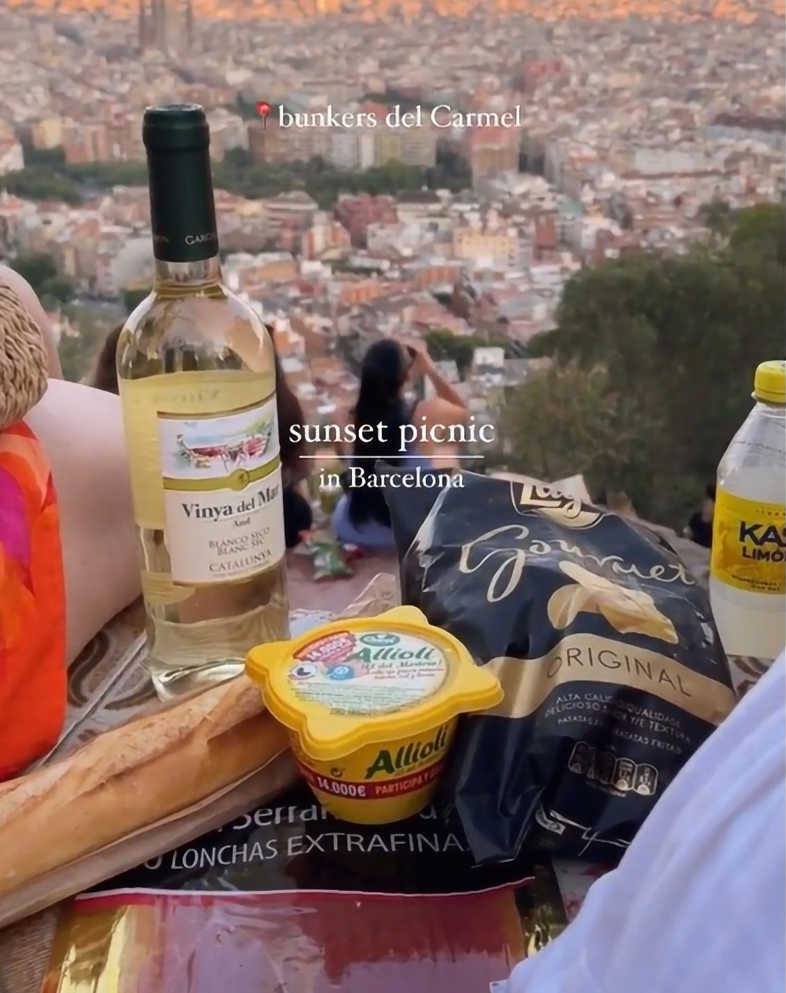 Frame d'un TikTok de la usuària @birkbites fent un picnic als búnquers del Carmel Frame d'un TikTok de la usuària @birkbites fent un picnic als búnquers del Carmel