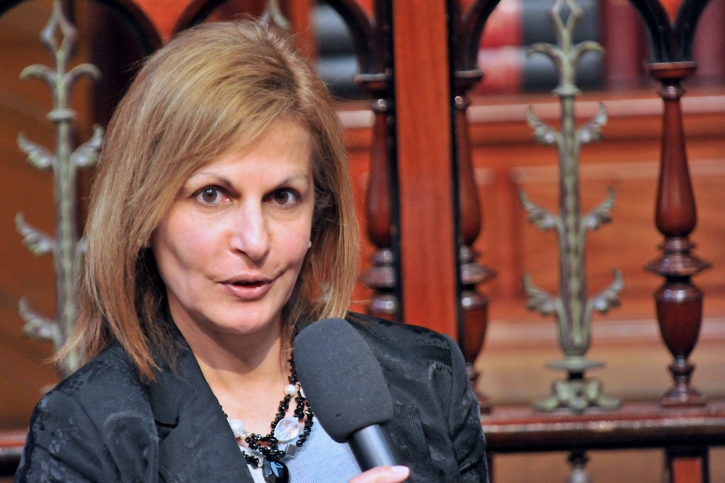 Shada Islam, cap del Programa Àsia, Amics d'Europa