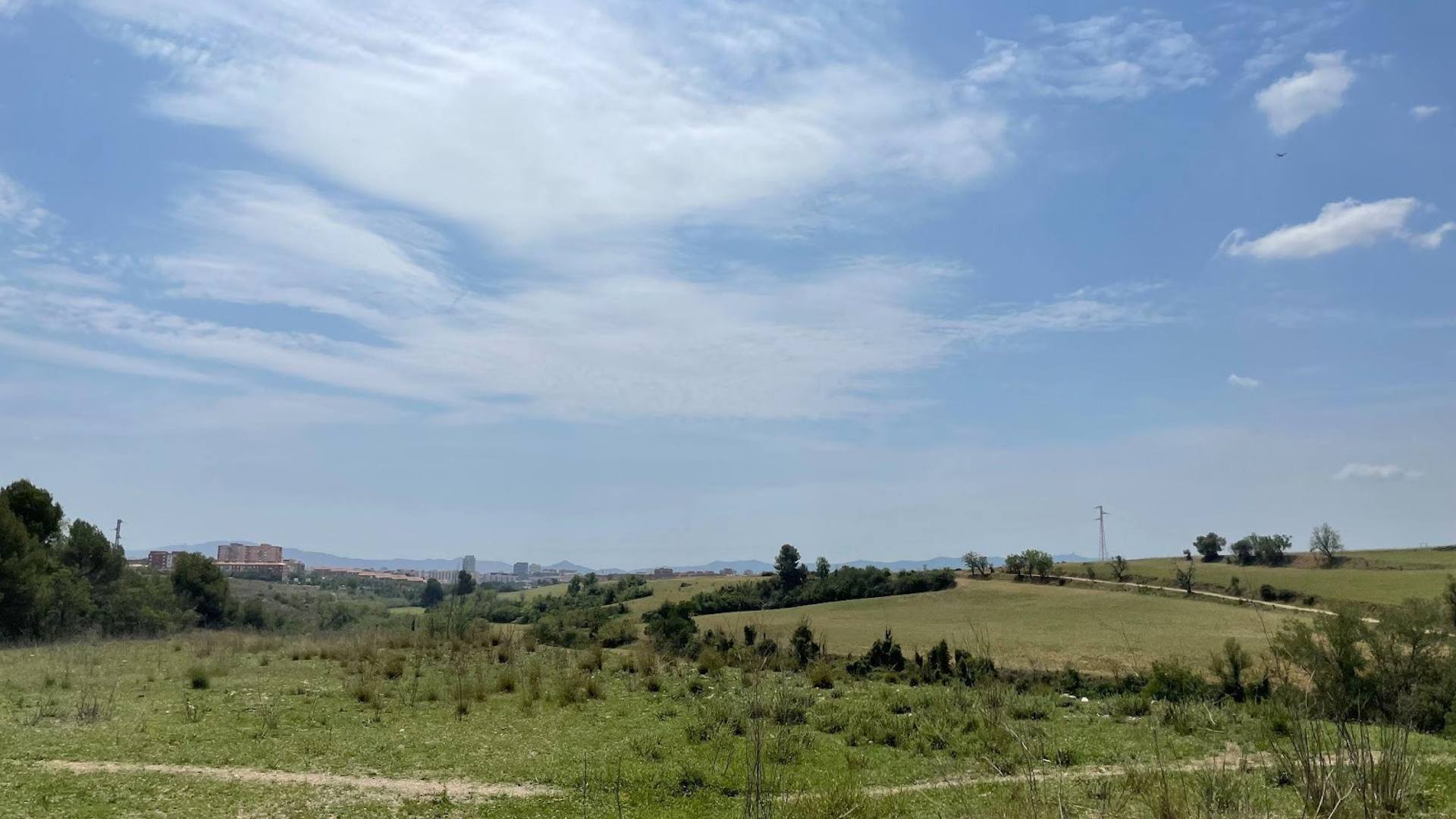 Espai forestal al nord de Sabadell per on passaria la B-40 Espai forestal al nord de Sabadell per on passaria la B-40
