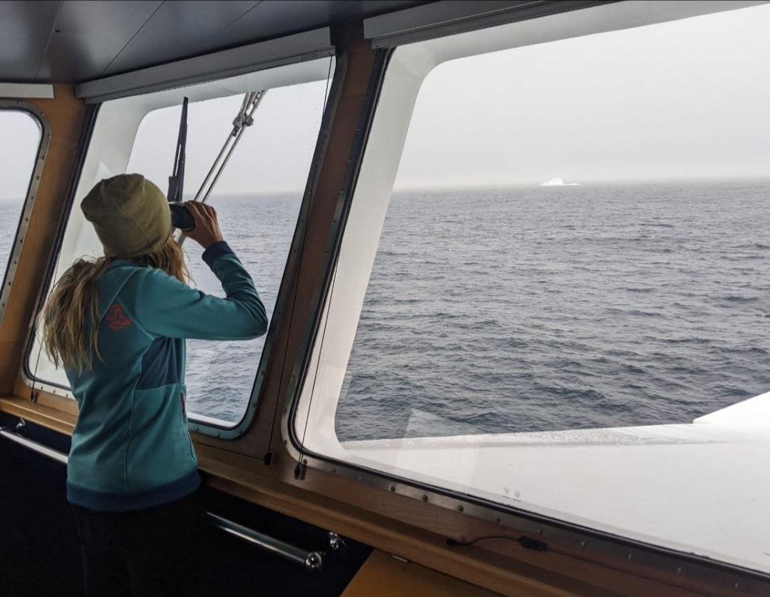 Visualització de dos icebergs mentre el vaixell Sarmiento de Gamboa (CSIC) navegava cap a Groenlàndia. Visualització de dos icebergs mentre el vaixell Sarmiento de Gamboa (CSIC) navegava cap a Groenlàndia.