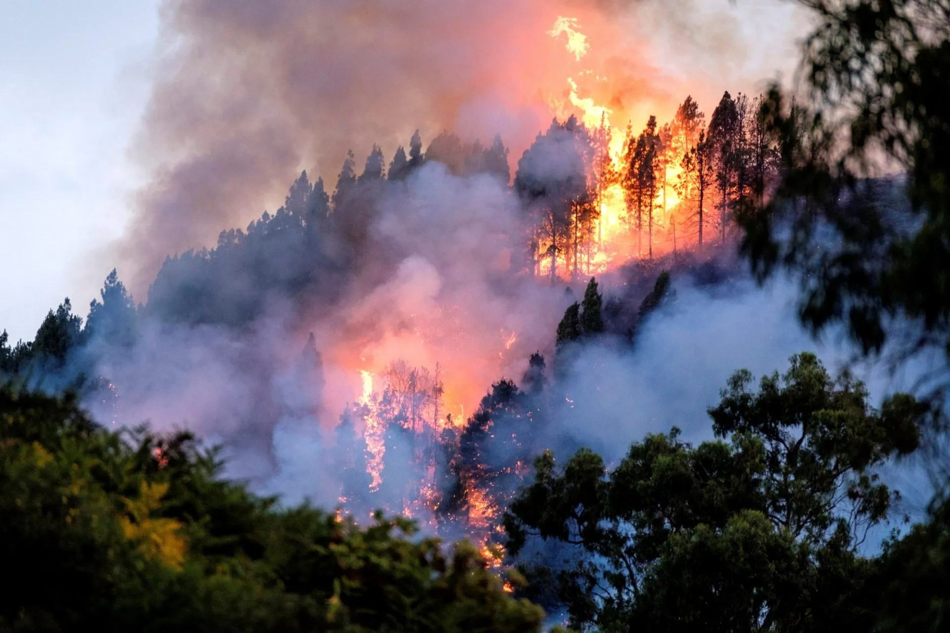 Imatge d'arxiu d'un incendi forestal. Imatge d'arxiu d'un incendi forestal.