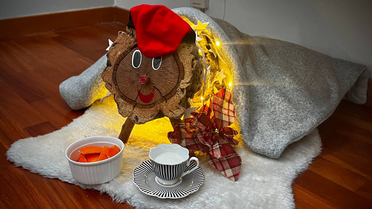 Hem parlat amb un tió de Nadal perquè ens expliqui en què consisteix la seva feina i com és la vida d'aquesta màgica espècie que trobem als boscos de Catalunya